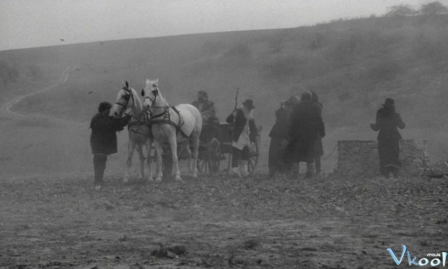 Xem Phim Con Ngựa Thành Turin - The Turin Horse - Vkool.Net - Ảnh 3