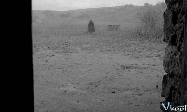 Xem Phim Con Ngựa Thành Turin - The Turin Horse - Vkool.Net - Ảnh 2