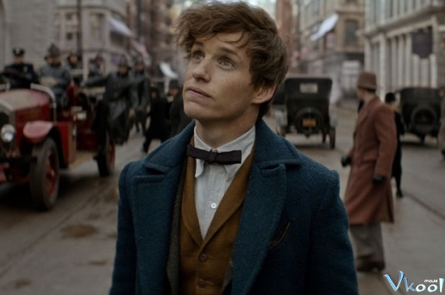 Xem Phim Sinh Vật Kỳ Bí Và Nơi Tìm Ra Chúng - Fantastic Beasts And Where To Find Them - Vkool.Net - Ảnh 2