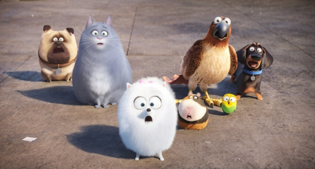 Xem Phim Đẳng Cấp Thú Cưng - The Secret Life Of Pets - Vkool.Net - Ảnh 3